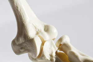 prevent bone loss